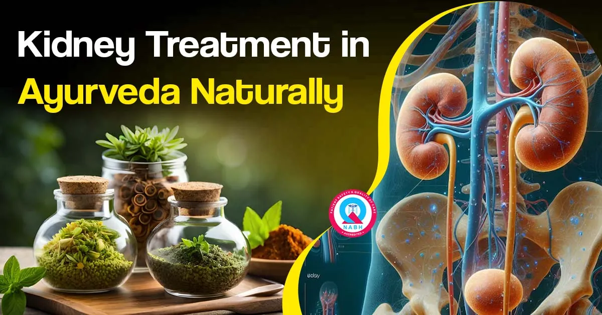 kidney-treatment-in-ayurveda-naturally